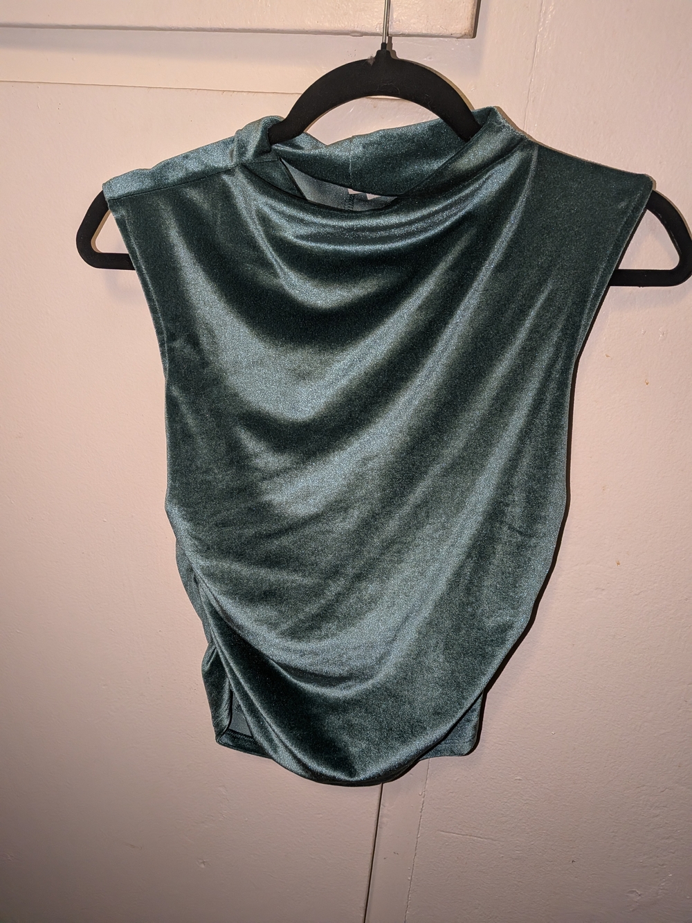 Velvet Sleeveless Mock Neck Top in Teal